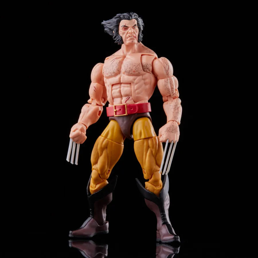 Wolverine vs. Villains Multipack - Hasbro (Marvel Legends Series) action figure collectible [Barcode 5010993858255] - Main Image 2