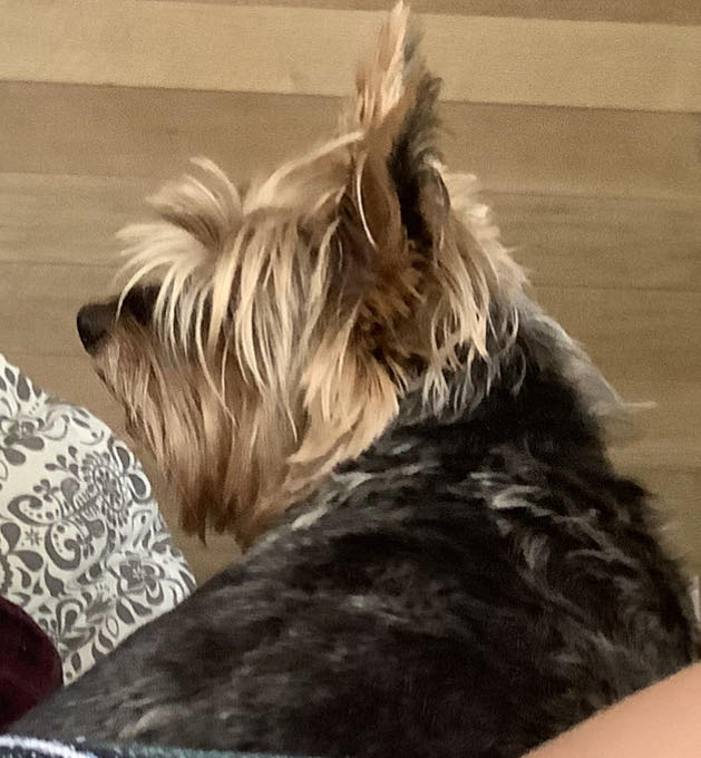 Rem Subaru’s Jacket Ver Re:ZERO Prize Figure