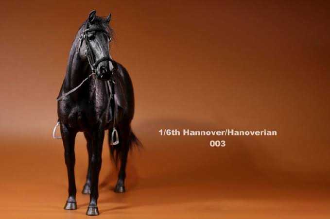 Hannover/Hannoverian Horse (003), 1:6 scale - Mr. Z action figure collectible - Main Image 2