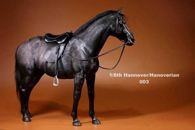 Hannover/Hannoverian Horse (003), 1:6 scale - Mr. Z action figure collectible - Main Image 3