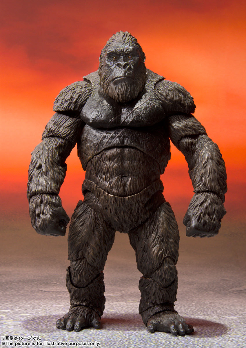 Kong (2021) - Bandai (S.H. MonsterArts) action figure collectible [Barcode 4573102604781] - Main Image 3