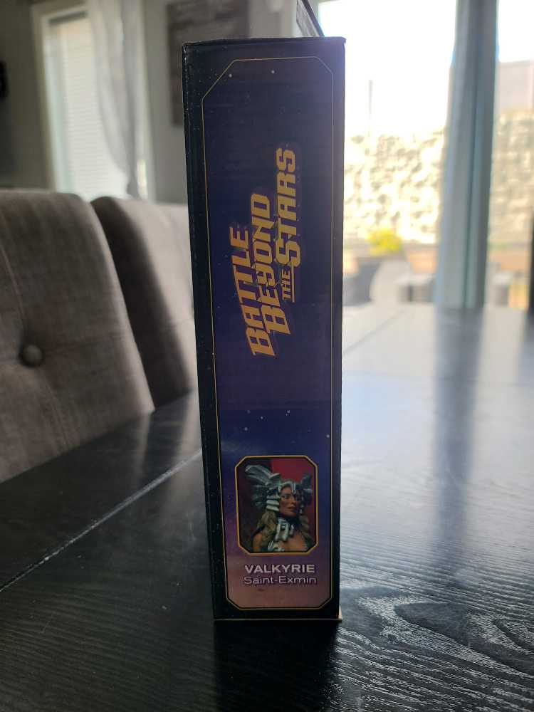 Valkyrie Saint-Exmin - Neca/Reel Toys (Battle Beyond The Stsrs) action figure collectible [Barcode 634482351505] - Main Image 4