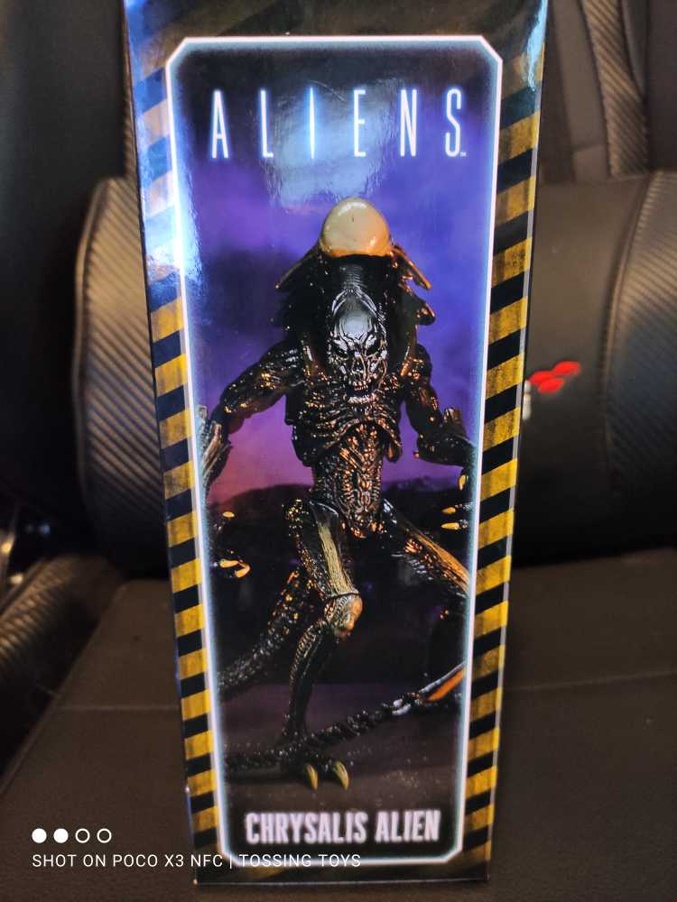 Chrysalis Alien - Neca (Alien) action figure collectible [Barcode 634482517192] - Main Image 4