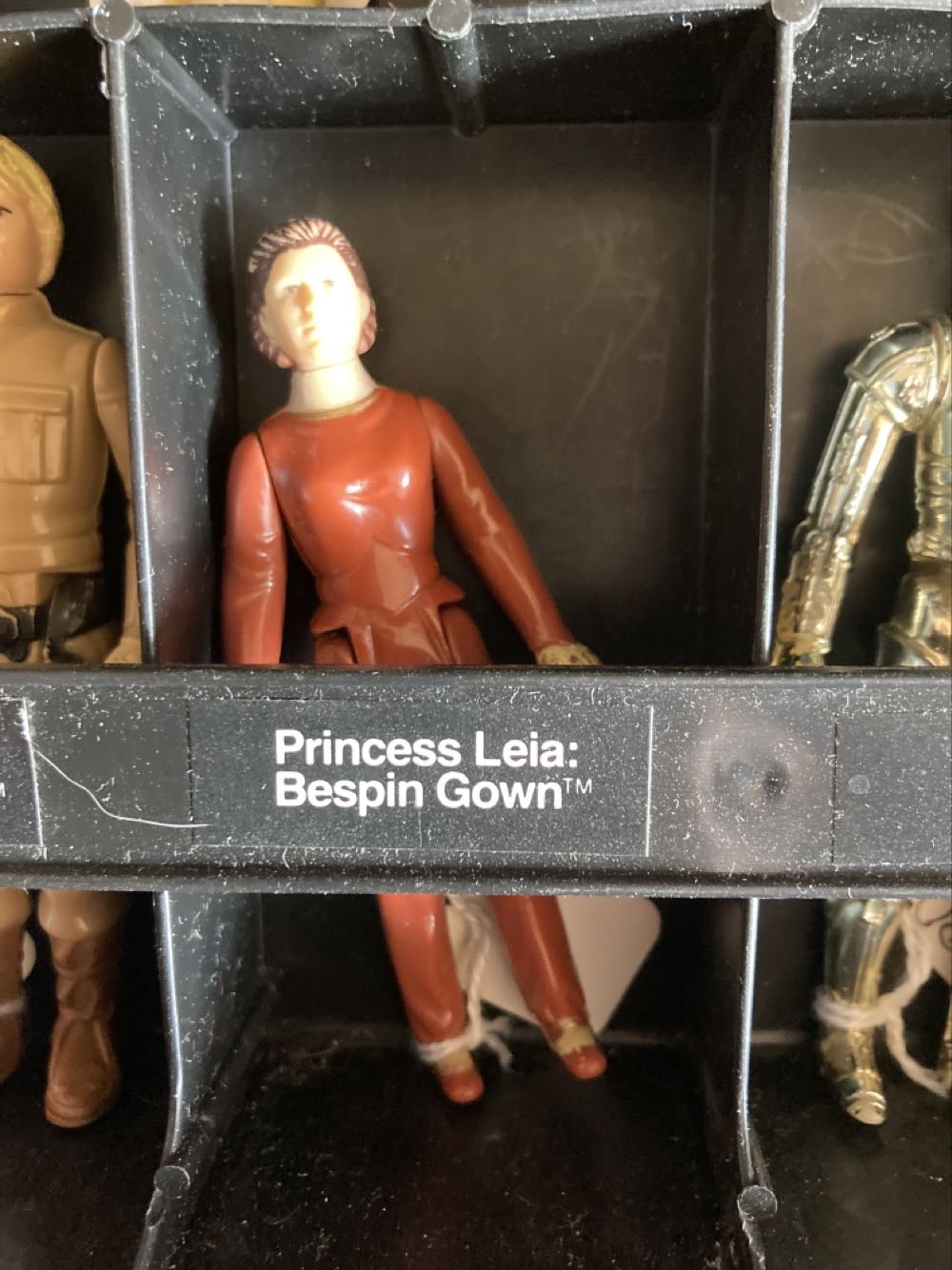 Senate Commando Captain And Senate Commando