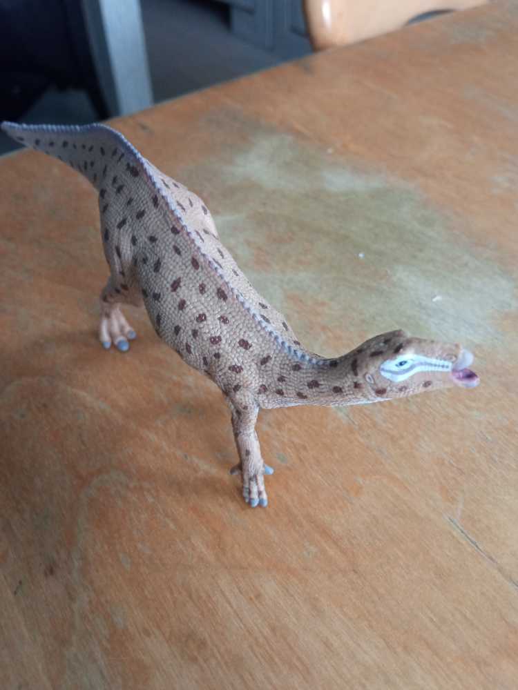 Collecta Fukuisaurus 1:40 Scale Dinosaur Figurine - Collecta (Dinosaurs) action figure collectible [Barcode 4892900888712] - Main Image 2