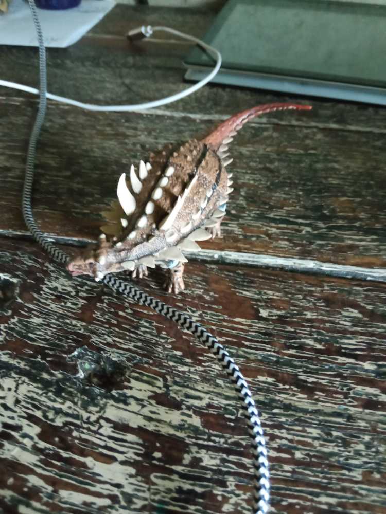 Collecta Gastonia Dinosaurs - Collecta (Dinosaurs) action figure collectible [Barcode 4892900886961] - Main Image 2