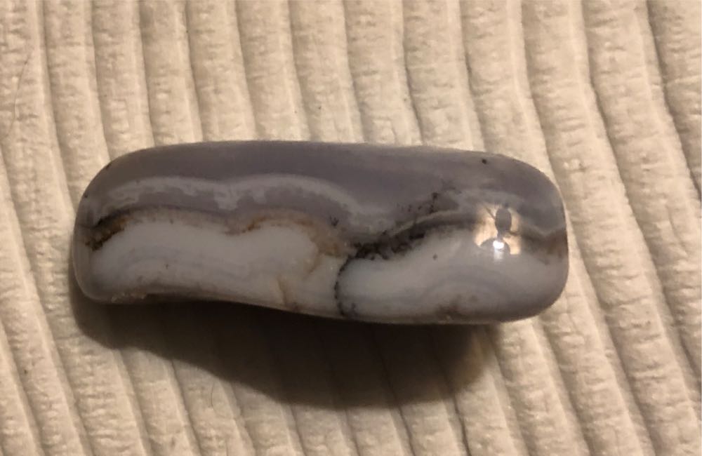 Harry Potter Baby Norbert