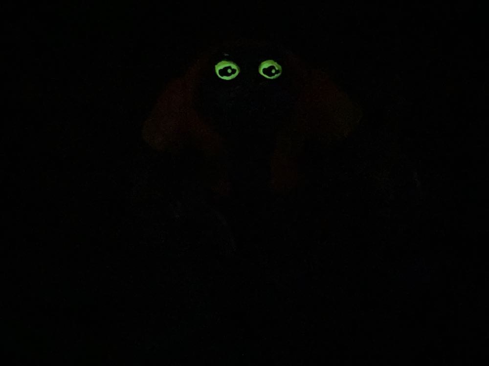 Atila The Frog - Yuno Dyva (Teenage Mutant Ninja Turtles) action figure collectible - Main Image 4