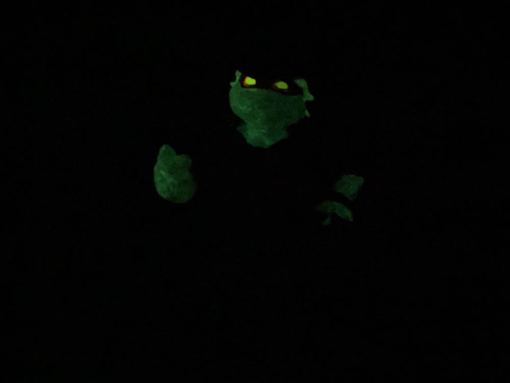 Mikey, The Traveler Turtle Ghost - Yuno Dyva (Teenage Mutant Ninja Turtles) action figure collectible - Main Image 3