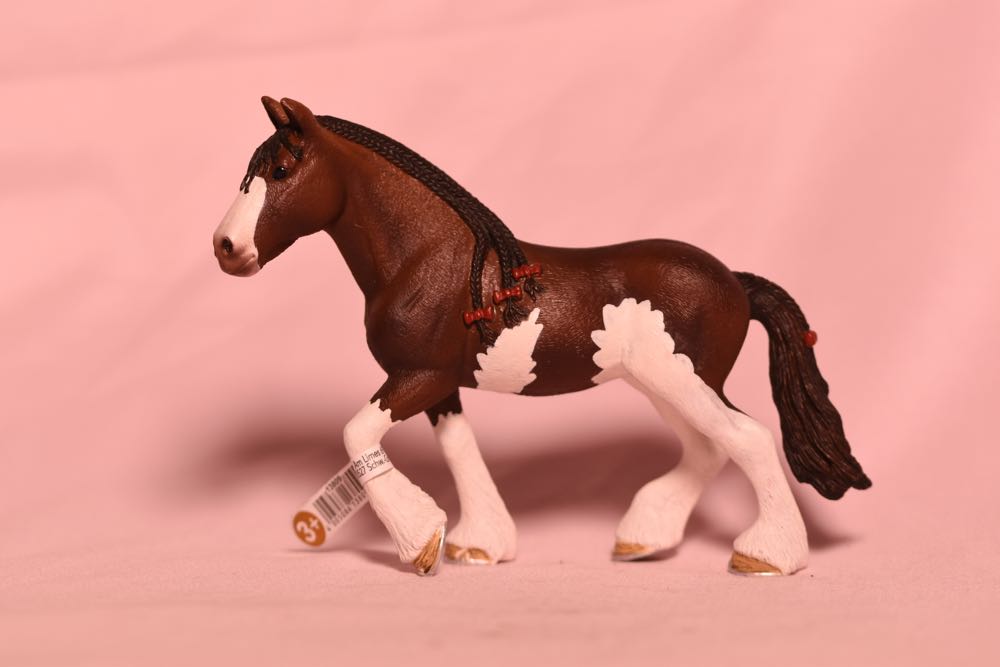 New York Giants 3-Pack