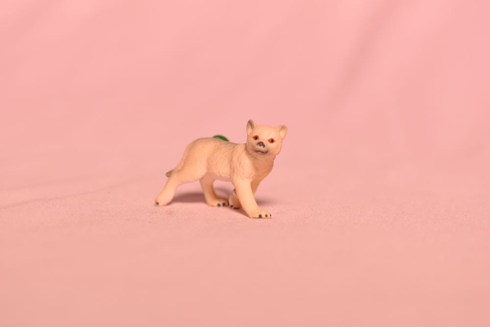 Image 143250