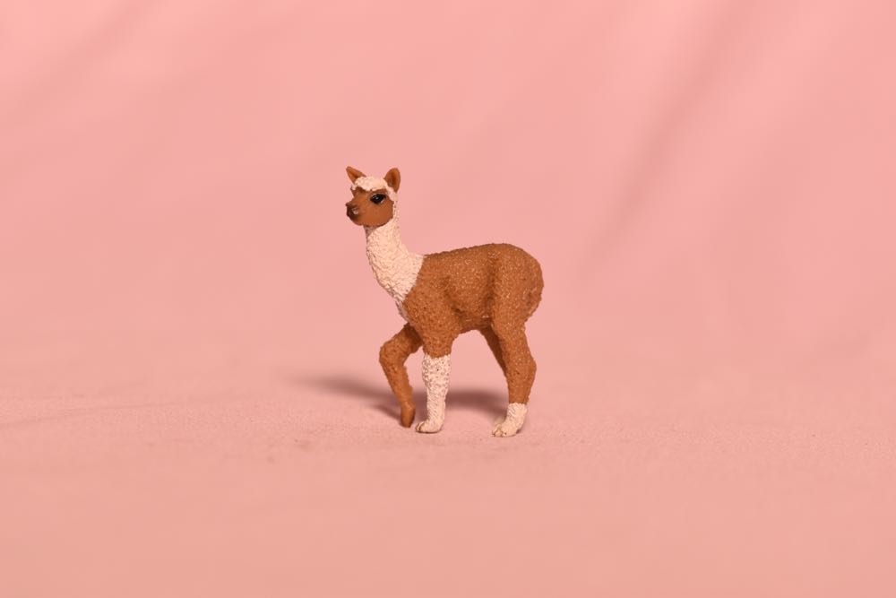 The Legend of Zelda: Skyward Sword - Zelda & Loftwing