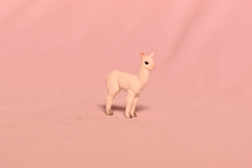 Alpaca Family Boxed Set - Schleich action figure collectible - Main Image 2