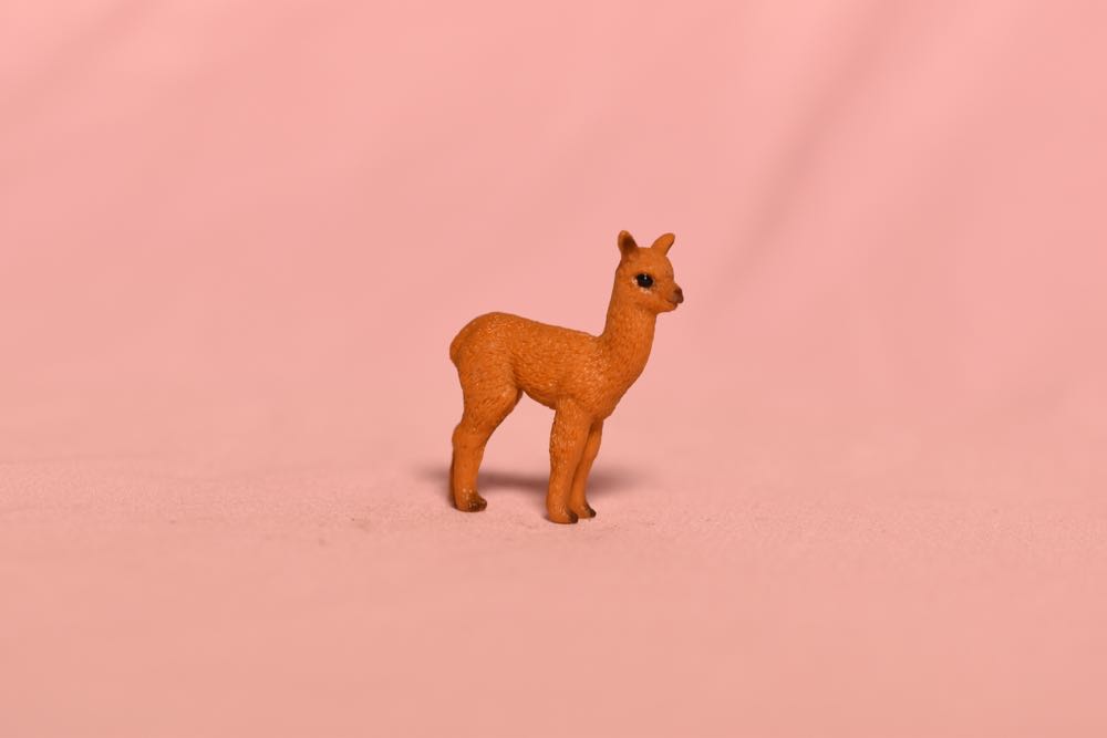 Alpaca Family Boxed Set - Schleich action figure collectible - Main Image 3