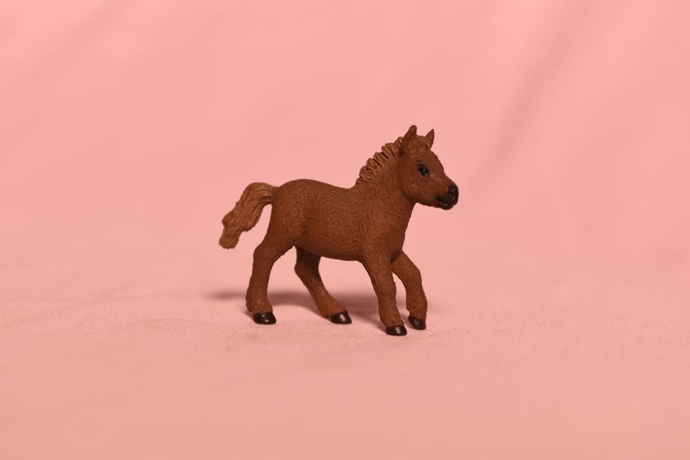 Shetland Pony Set - Schleich action figure collectible - Main Image 2