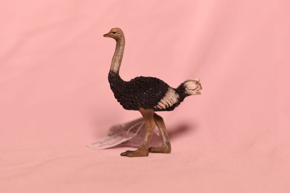 Skyward Sword HD Edition