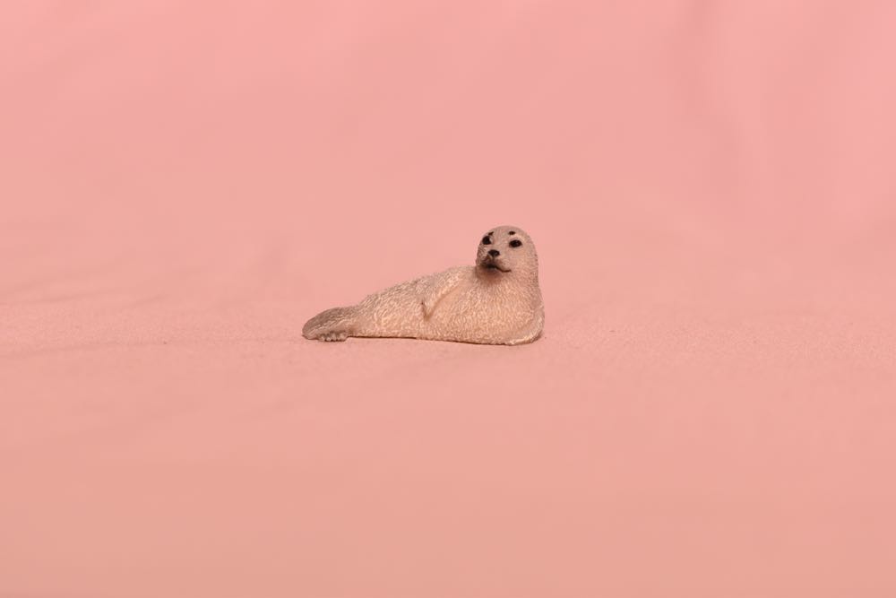 Pyramid International Rk38572c Back To The Future Keychain License Plate Multi-colour 4.5 X 6 X 1.3 Cm