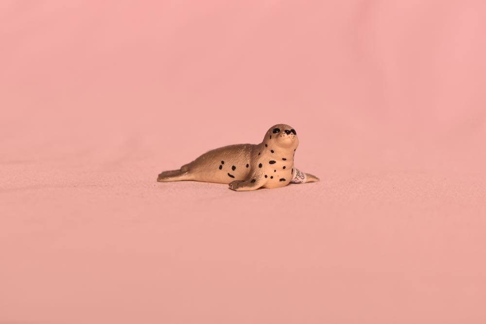 Tmnt Teenage Mutant Ninja Turtles Tmnt Mini Turtles 2 Pack Michelangelo Rat King