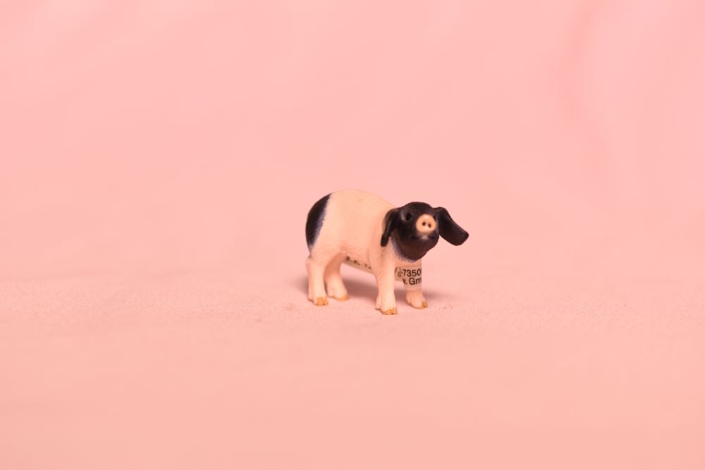 Image 143369
