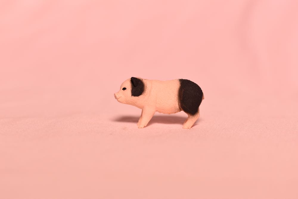 Image 143371