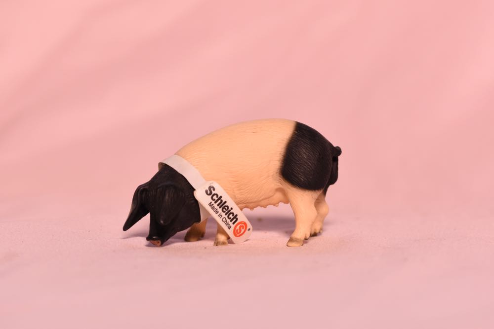 Image 143403