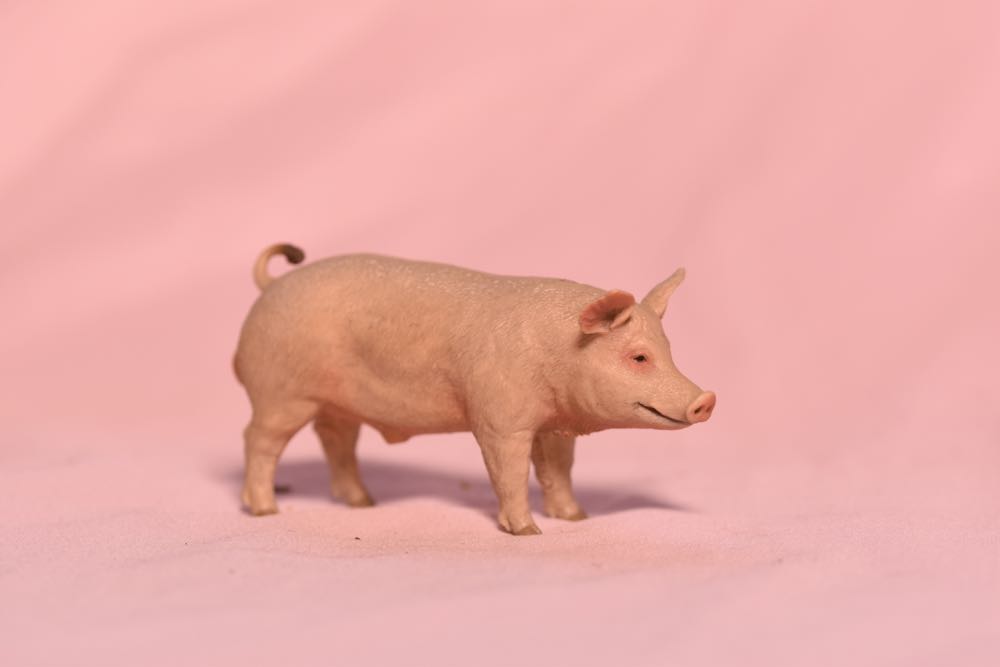 Image 143409