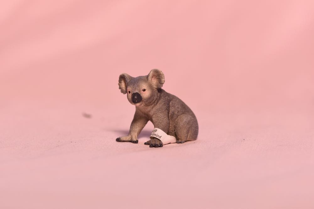 Image 143429