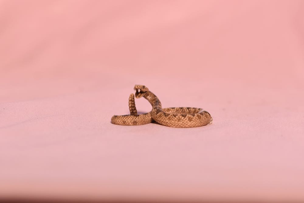 Wing Gundam RG 1/144