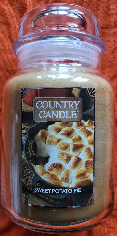 Wwe Sami Zayn Action Figure