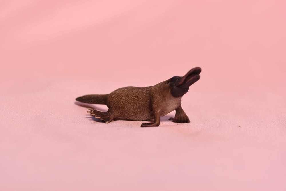 Image 143518