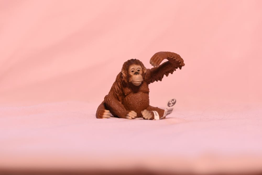 Spike (The Cowardly)