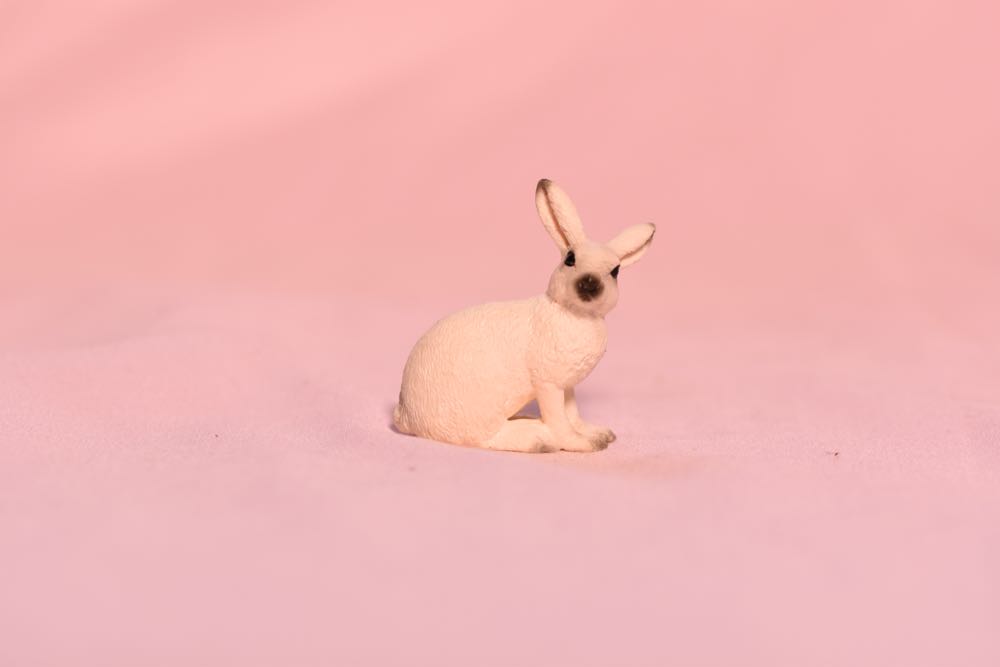 Image 143537