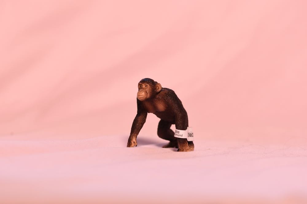 The Mummy 8 Inch Universal Studios Monsters Action Figure Toy New Nip Nib