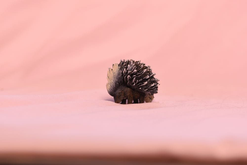 #26 Darby Allin (Rare Edition)