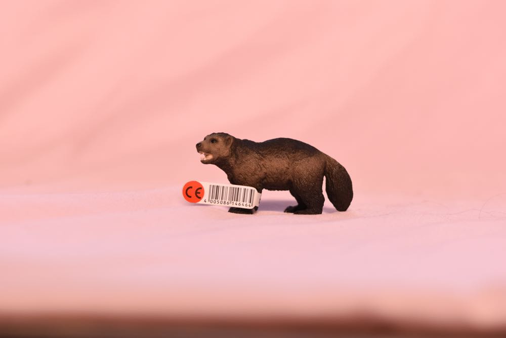 Frankenstein’s Monster