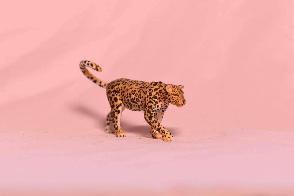 Dr. Jennifer Keller - Stargate Atlantis