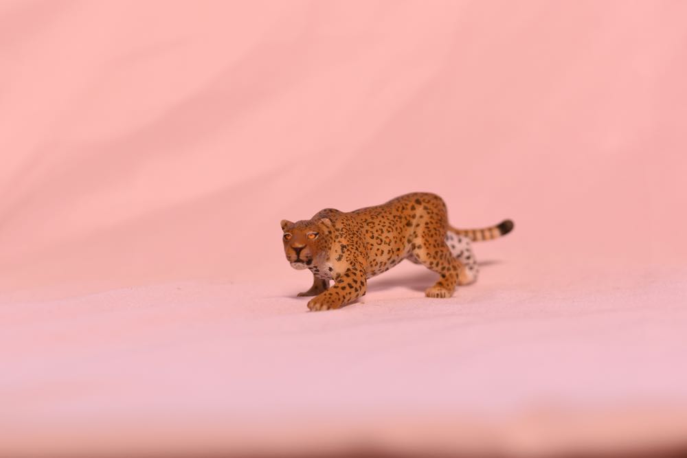 The Warriors: Orphans Leader