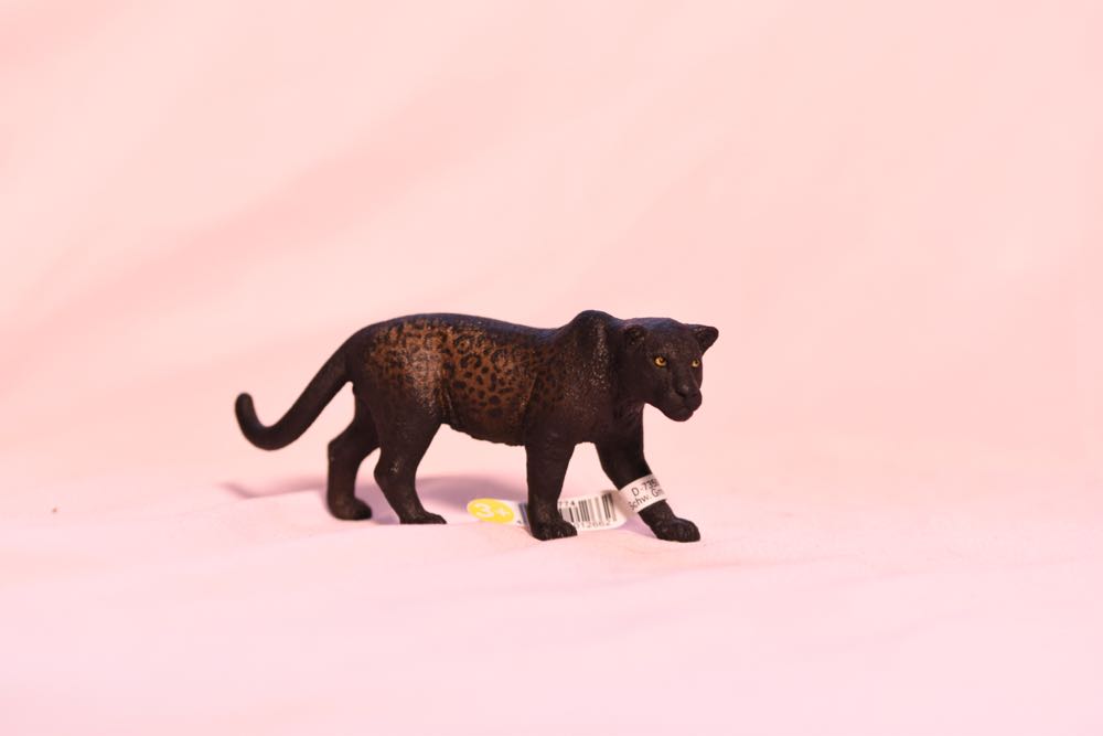 Image 143658