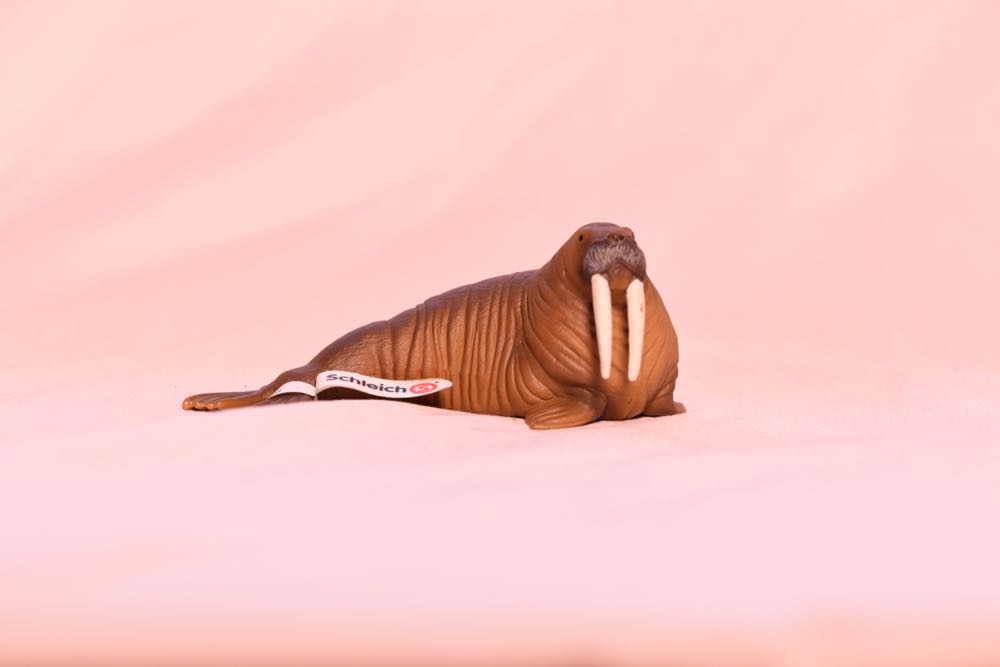 Btvs Collectors Tin Club Exclusive Nightmare Xander