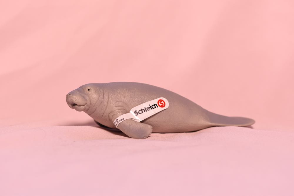 Image 143684