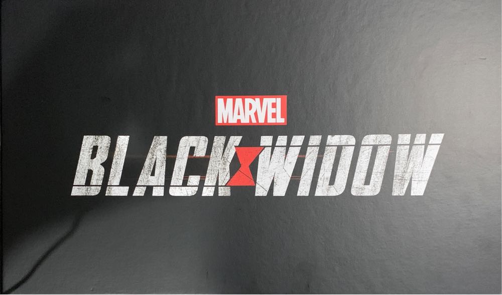 Marvel Legends Black Widow Replica Box Set - Hasbro (Legends Series) action figure collectible [Barcode 811411039981] - Main Image 2