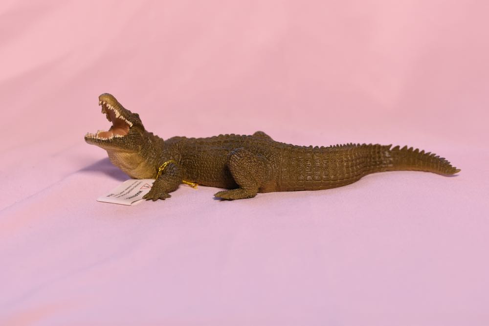 Michelangelo & Raphael