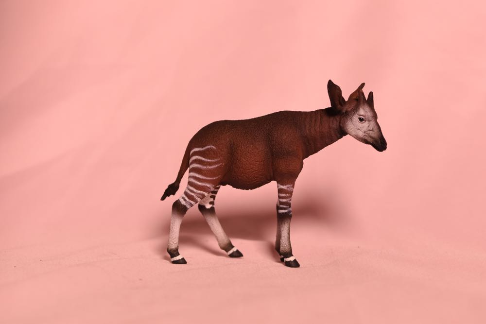 Friend Mattel #20538 New Never Florida Vacation Midge Doll Barbie Friend