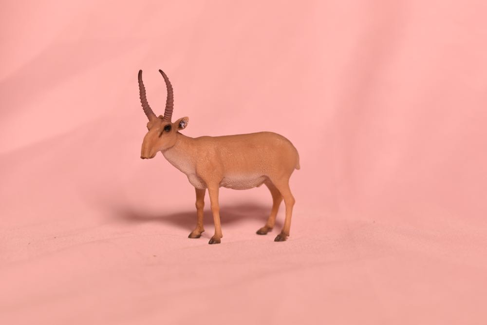 The Walking Dead Amc Edition