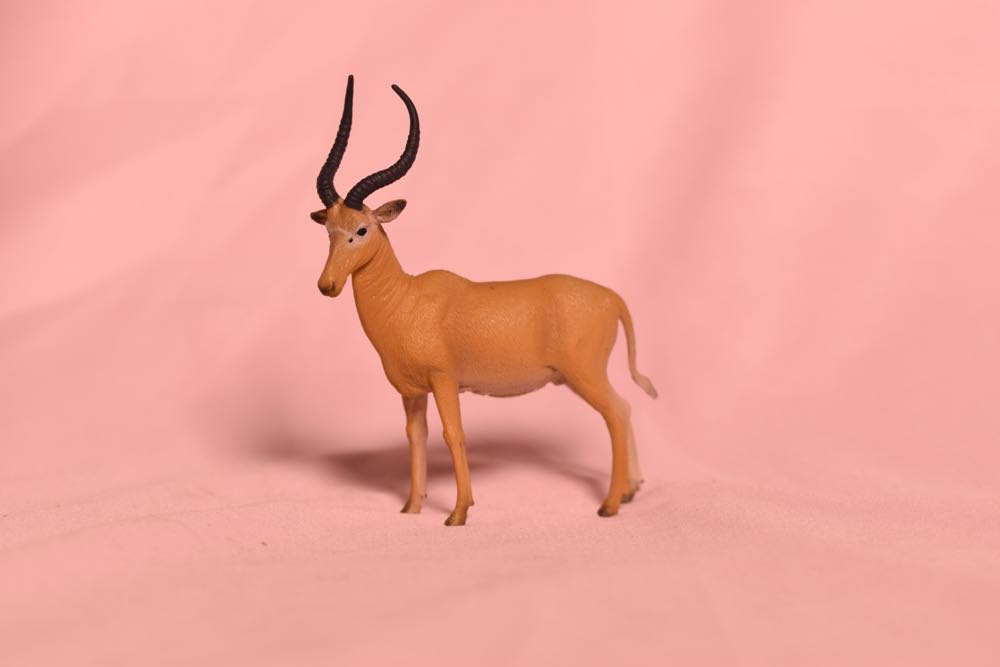 Horus (Attack Pilot)