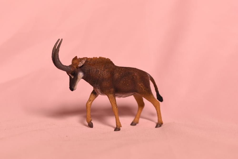 Pangolin - Collecta action figure collectible - Main Image 1