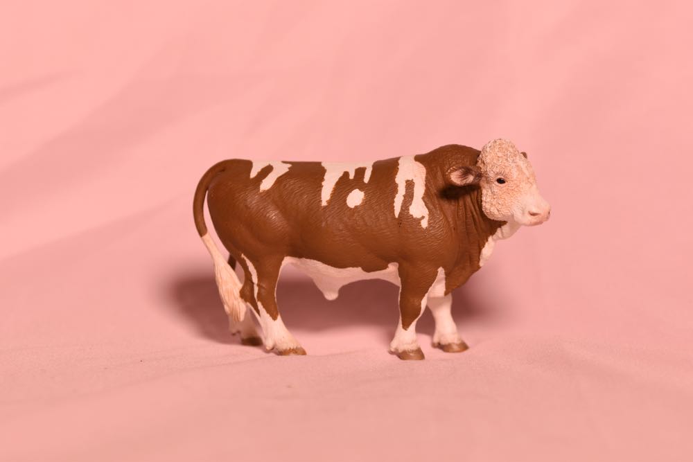 Simmental Bull - Schleich action figure collectible - Main Image 1