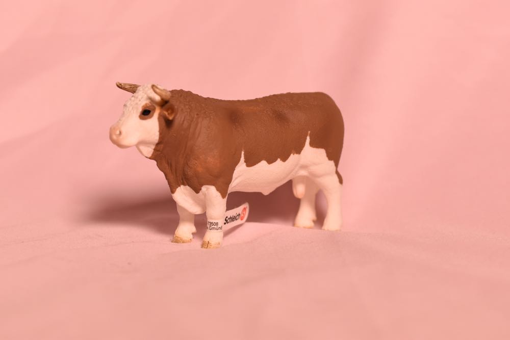 Funko Action Figure: Five Nights At Freddy’s Chocolate Bonnie