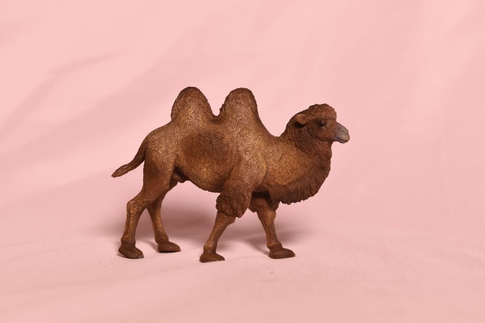 Btvs Collectors Tin Club Exclusive Nightmare Xander