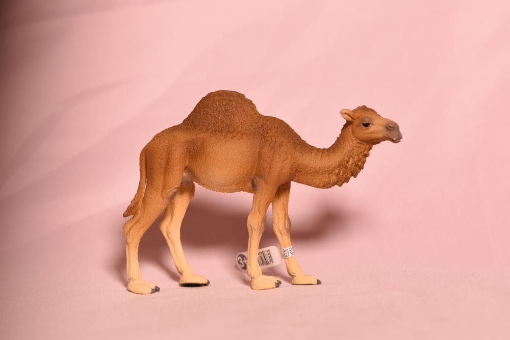 Fairytail Key Set Incomplete